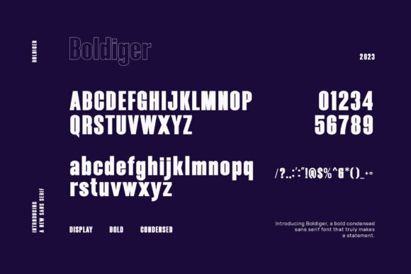 Boldiger Font - Preview 1