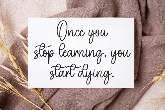 Britney Font - Preview 3