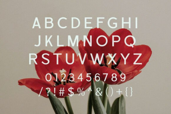 Cardio Font - Preview 1