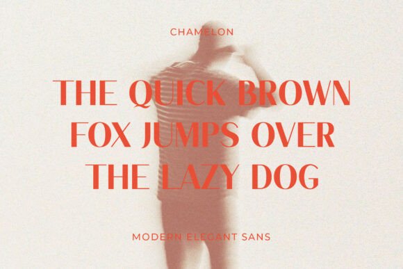 Chamelon Font - Preview 1