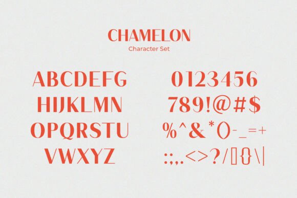 Chamelon Font - Preview 3