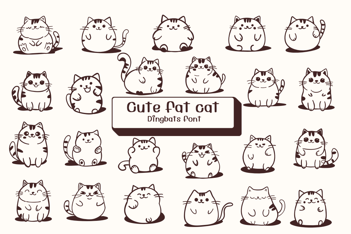 Cute Fat Cat