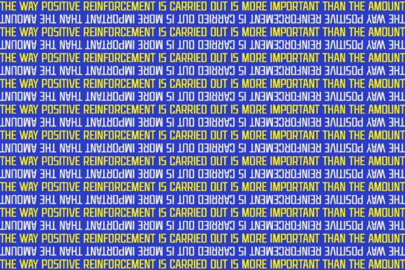 Edvolution Font - Preview 4