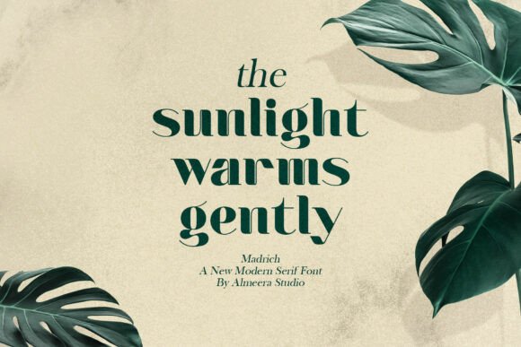 Madrich Font PNG with transparent background - Preview 2