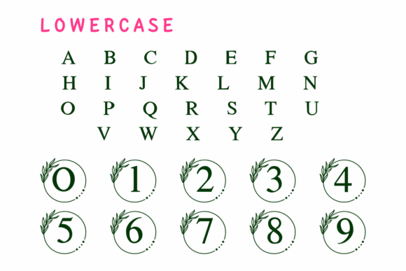 Monogram Leaf Font PNG with transparent background - Preview 2