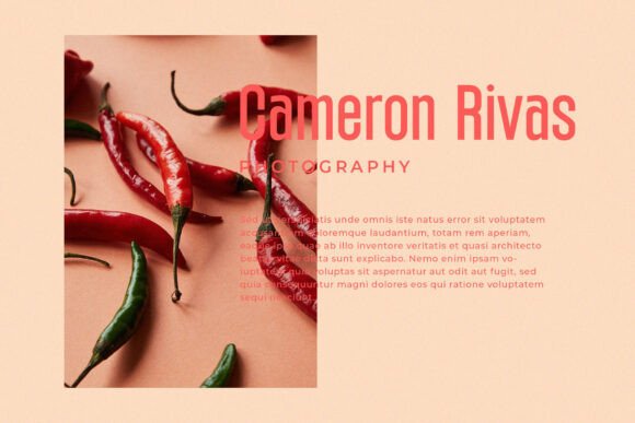 Guardian Font - Preview 2