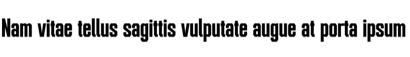 gunsport