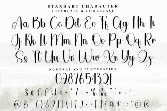 City Center Font - Preview 3