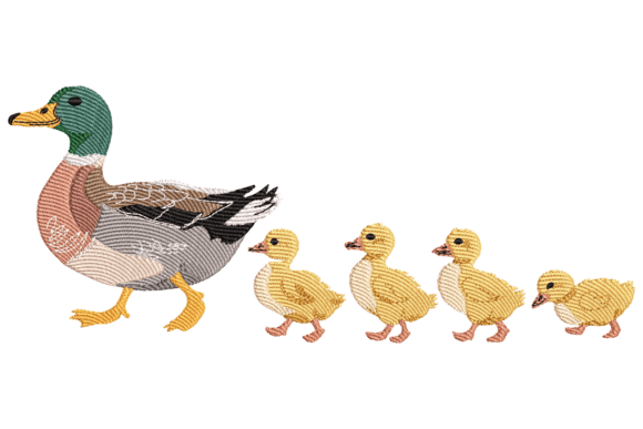 Duck Family