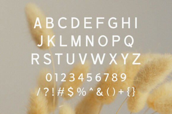 Marika Font PNG with transparent background - Preview 1
