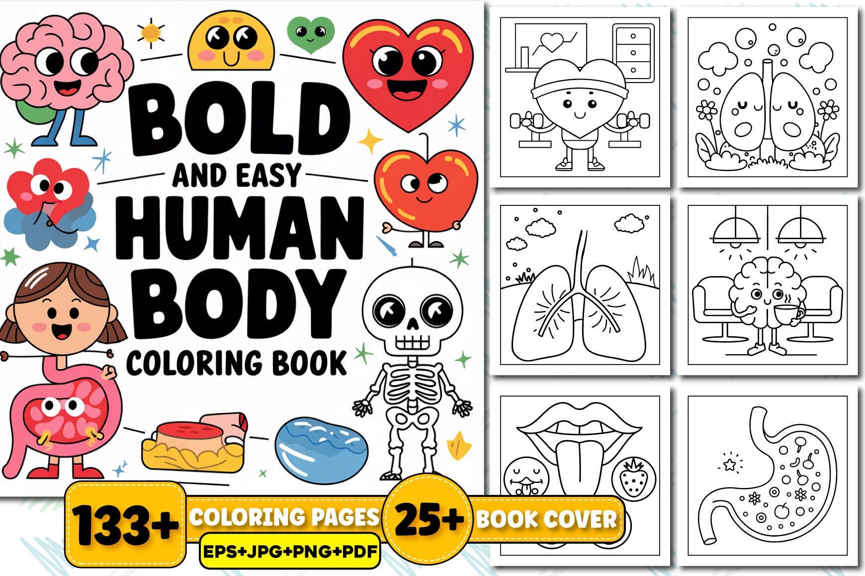 Bold and Easy Human Body Coloring Book