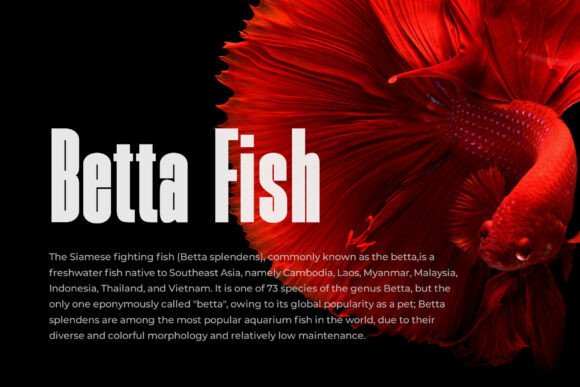 Skinger Font PNG with transparent background - Preview 4