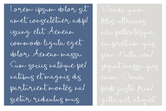 Authorize Font - Preview 3