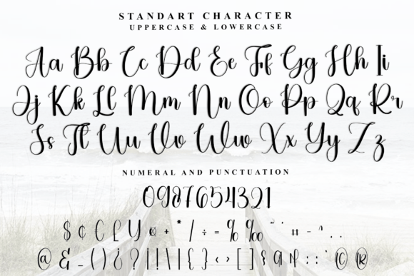 Calligraphy Font - Preview 2