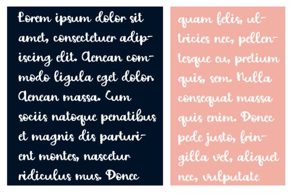 Fastidious Font - Preview 2