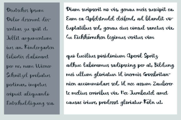 Fastidious Font - Preview 5