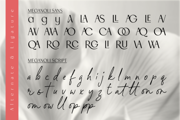 Meganoli Duo Font PNG with transparent background - Preview 5