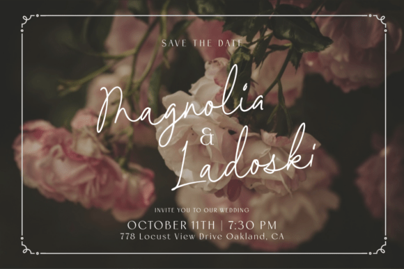 Meganoli Duo Font PNG with transparent background - Preview 6