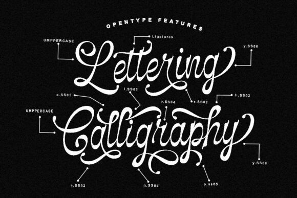 Selfino Script Font PNG with transparent background - Preview 2