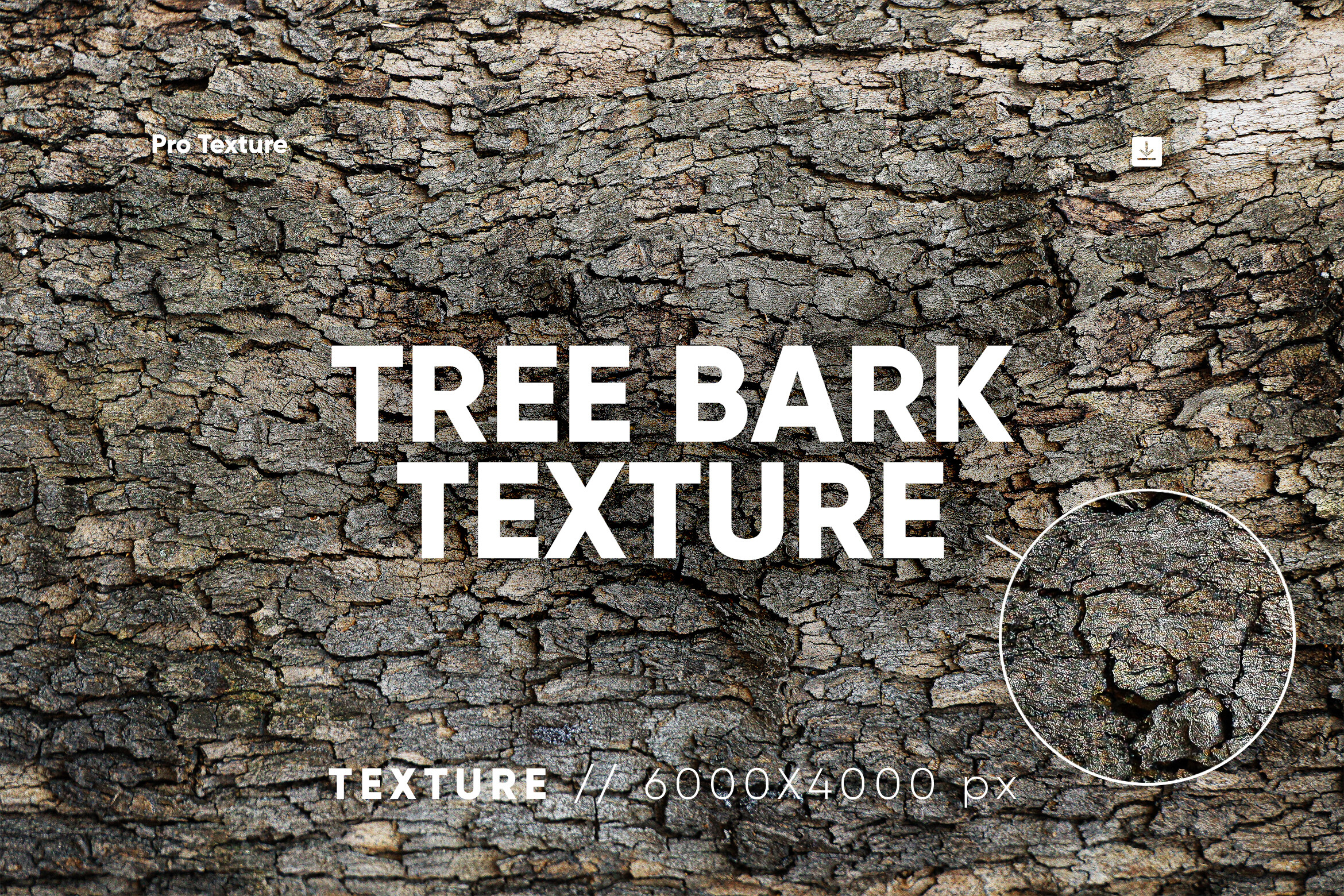 20 Tree Bark Texture Graphic by CCPreset · Creative Fabrica