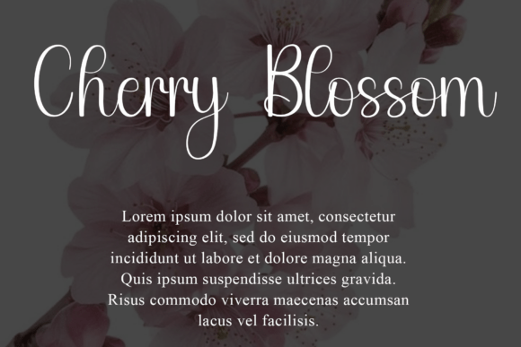 Aesthetic Font - Preview 3