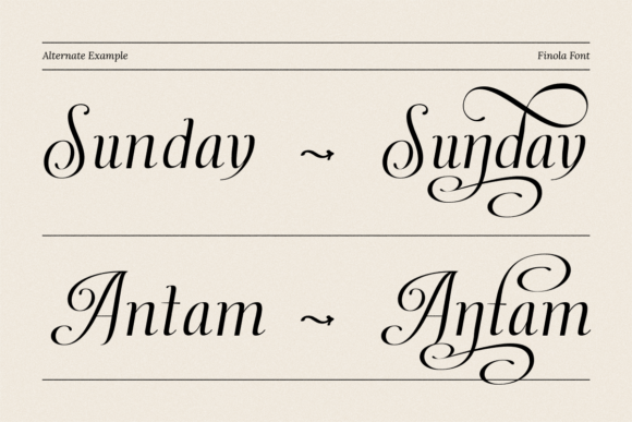 Dh Finola Font - Preview 6
