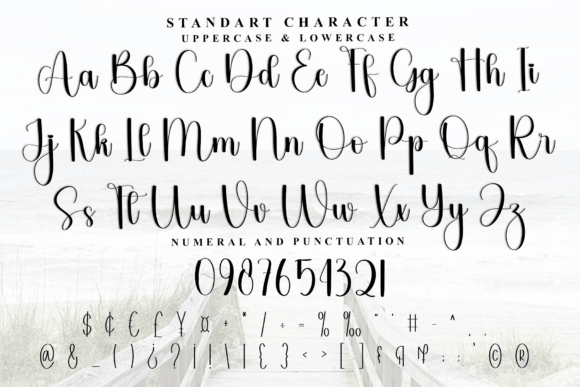 Delisa Melody Font - Preview 2