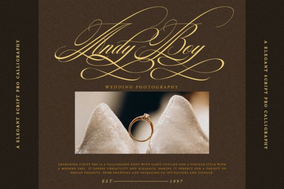 Georghina Script Pro Font - Preview 2
