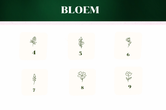 Bloem Font - Preview 3