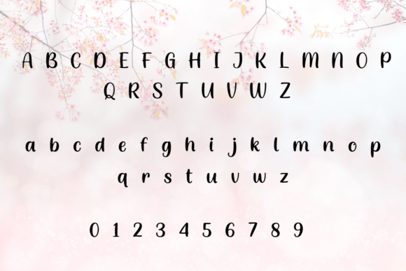 Cloudberry Script Font - Preview 2