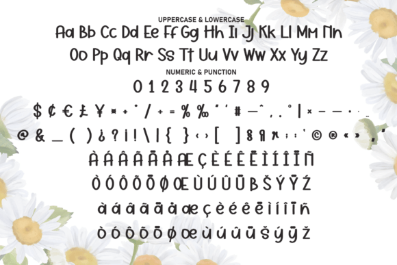 Daisy Font - Preview 6