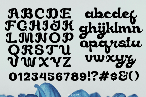 Follipe Font PNG with transparent background - Preview 3