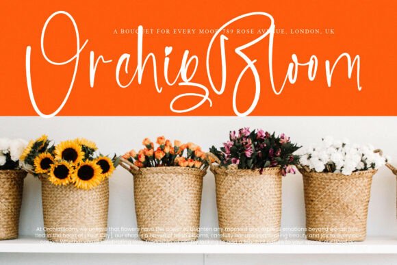 Blisk Orage Font - Preview 4