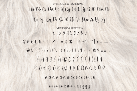 Bulky Font - Preview 6