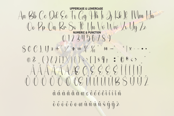 Dragonfly Font - Preview 6