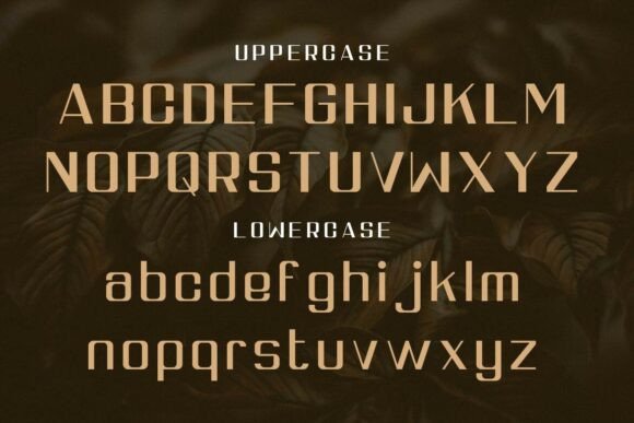 Cundamani Font - Preview 1