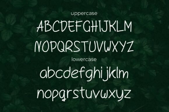 Bingroof Font - Preview 1