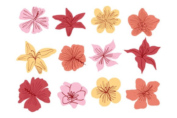 Botanical Hand Drawn Flower Illustration