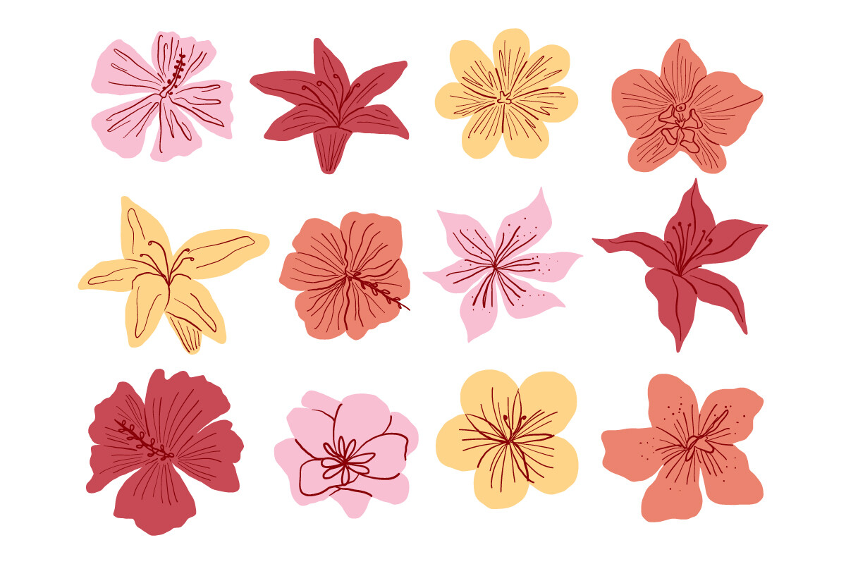 Botanical Hand Drawn Flower Illustration