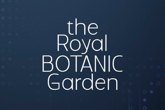 Reback Font PNG with transparent background - Preview 3
