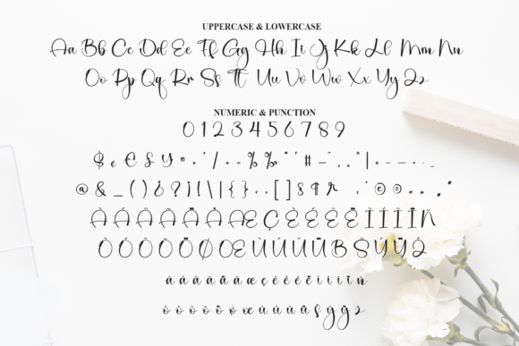 Catalina Font - Preview 6