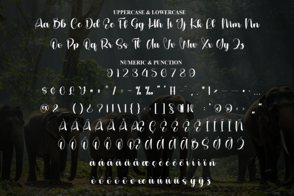 Elephant Font - Preview 6