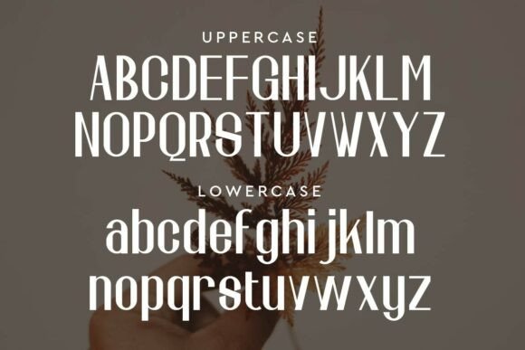 Galine Font PNG with transparent background - Preview 1