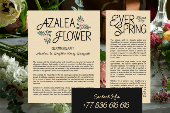 Gellica Soft Font - Preview 5