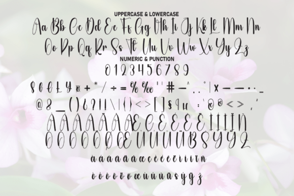 Gratitude Font - Preview 6