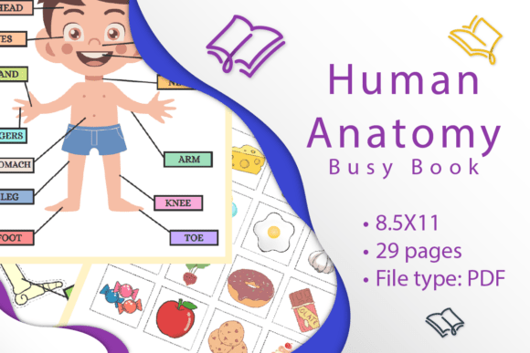 Human anatomy busy book with printable activity pages about the body for kids