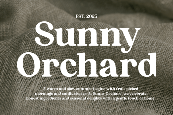 Amber Ledger Font - Preview 1