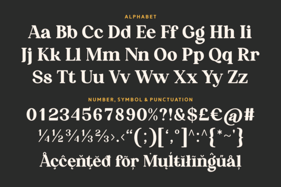 Amber Ledger Font - Preview 5