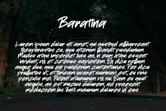 Baratina Font - Preview 2