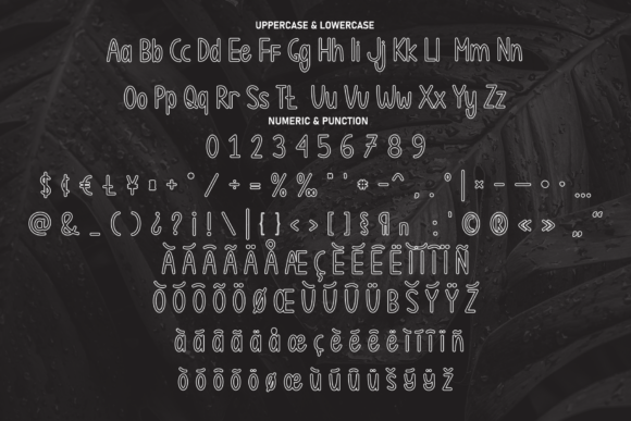 Black Font - Preview 6
